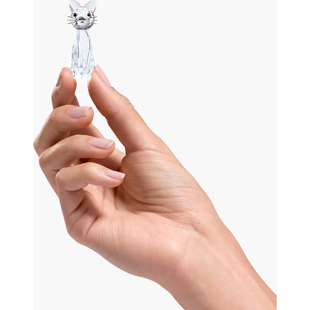 REPLICA:CAT