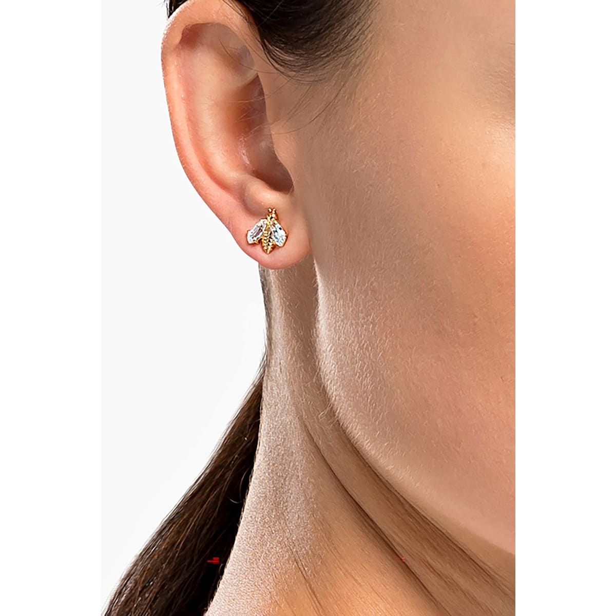 eternal-flower-ohrstecker-bee