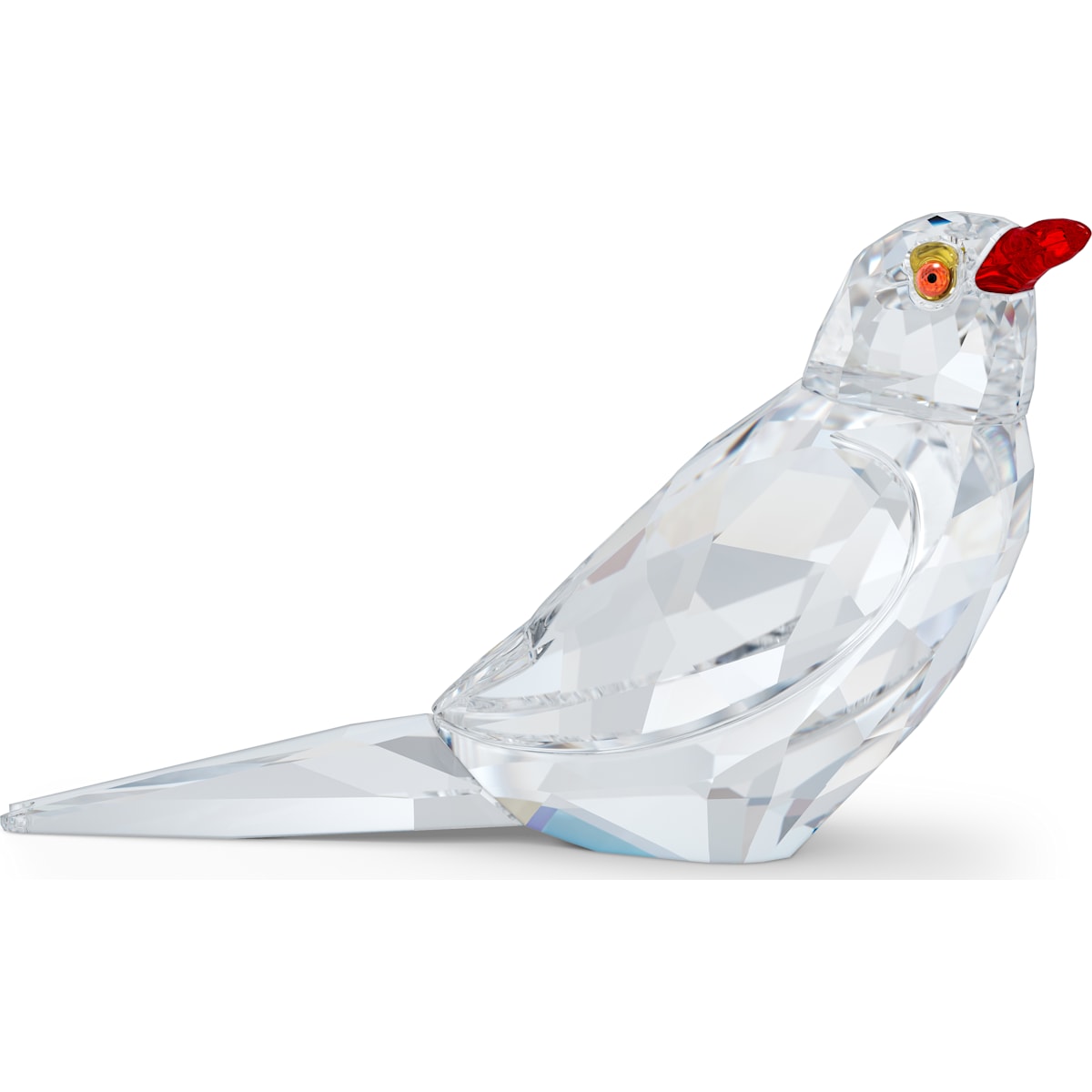 ELEGANCE OF AFRICA:SCS OXPECKER