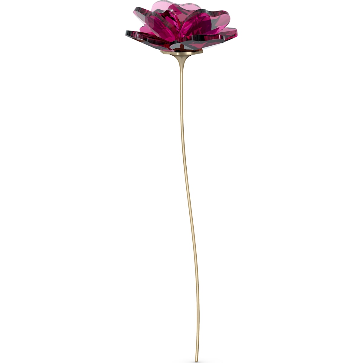 GARDEN TALES:ROSE