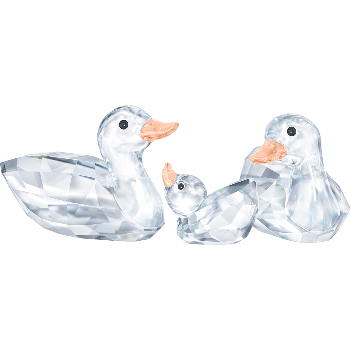 PEACEFUL COUNTRYS:DUCKS