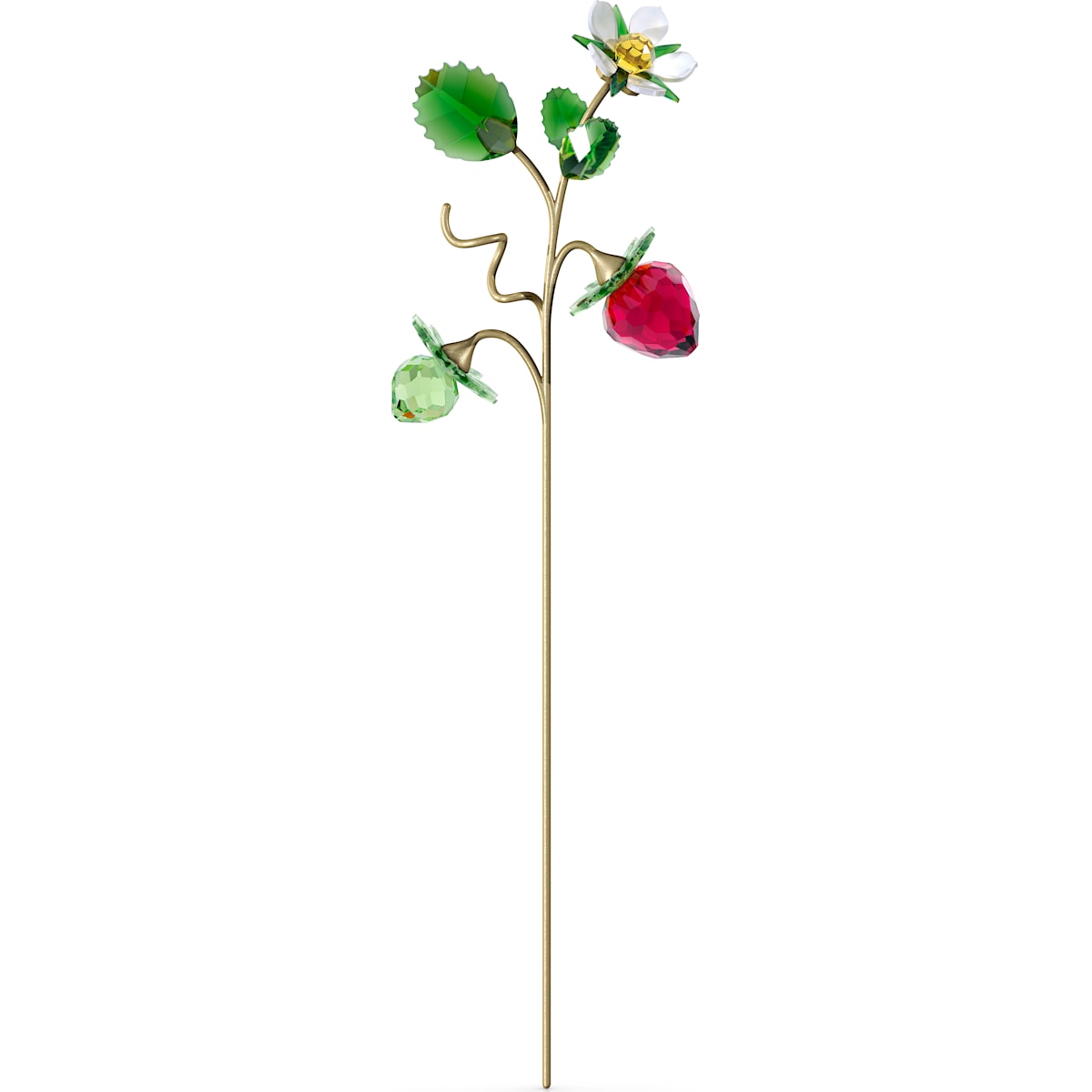 GARDEN TALES:WILD STRAWBERRY