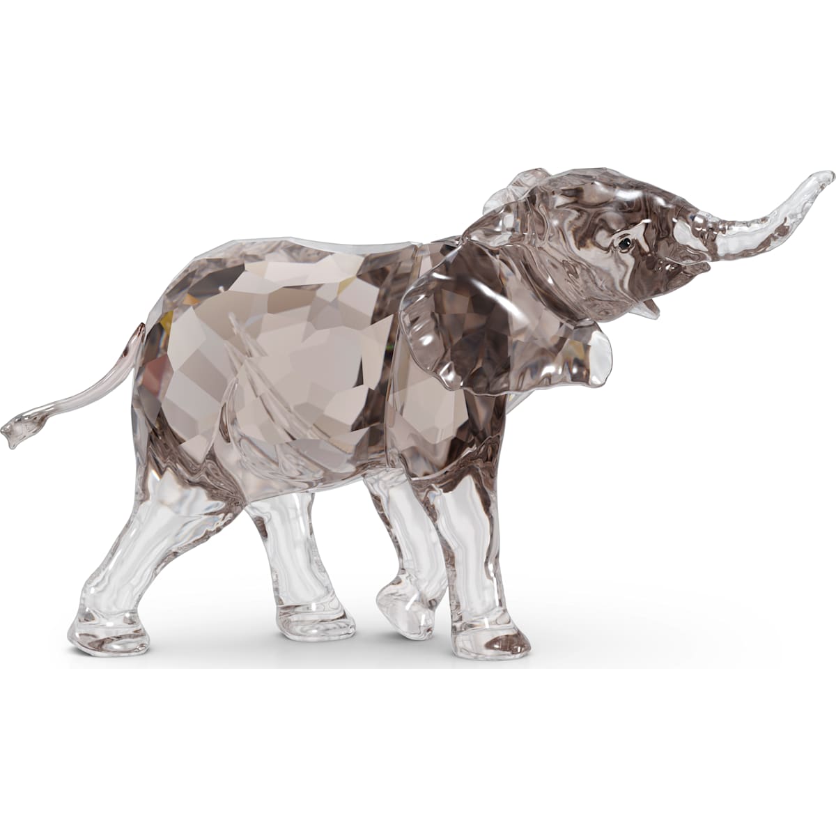 ELEGANCE OF AFRICA:SCS ELEPHANT BABY