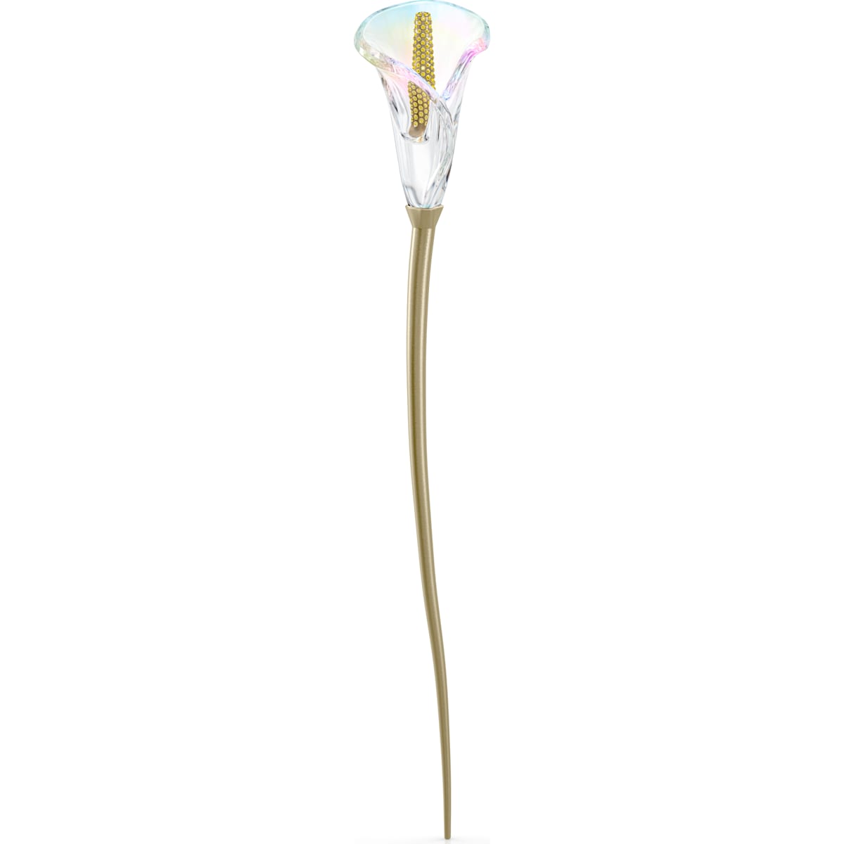 GARDEN TALES: CALLA LILY