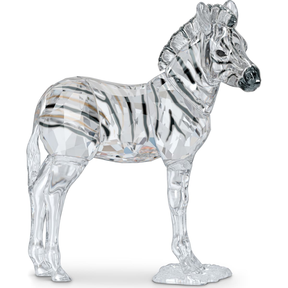 ELEGANCE OF AFRICA:SCS ZEBRA BABY