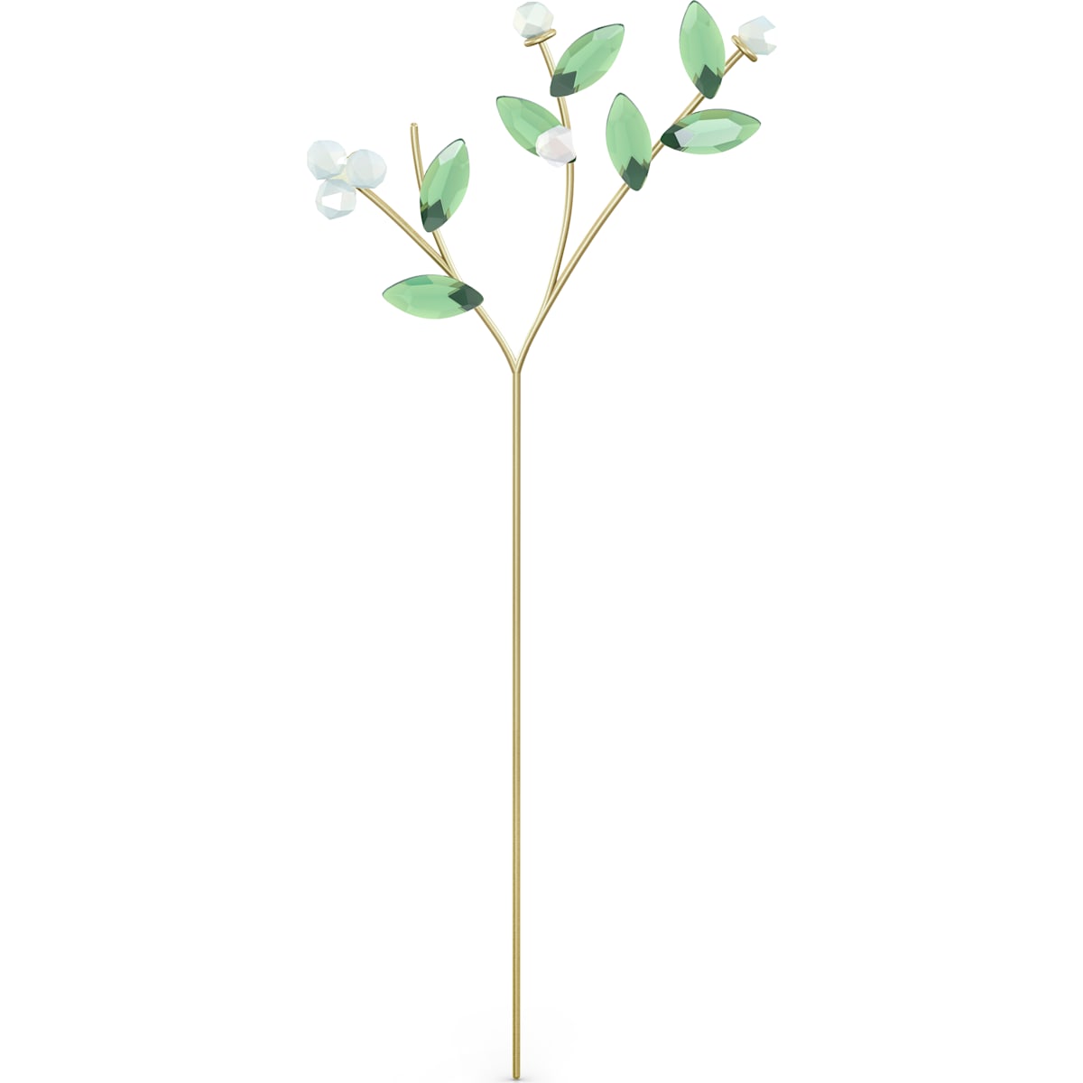 GARDEN TALES:MISTLETOE