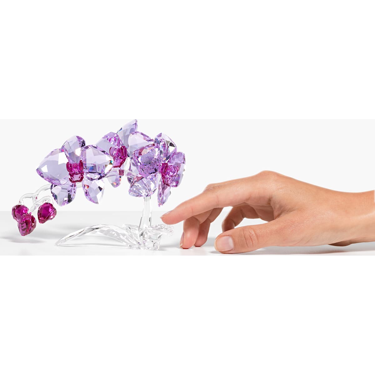 Swarovski - Orchidee - CRYSTAL UNTERBERGER