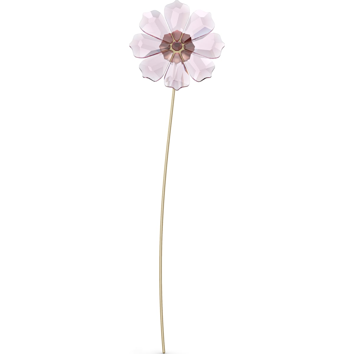 GARDEN TALES:COSMOS