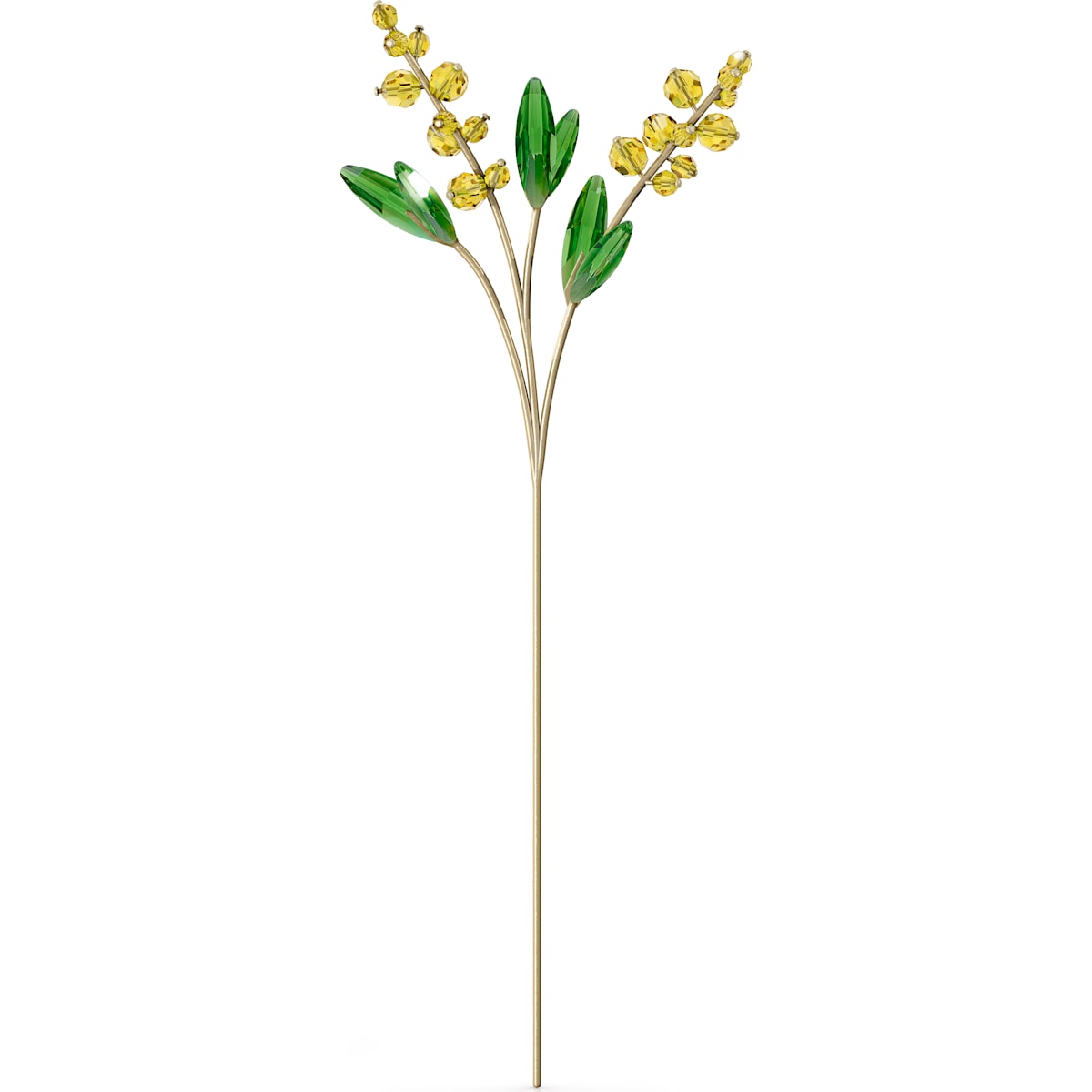 GARDEN TALES: MIMOSA