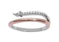 Silberring