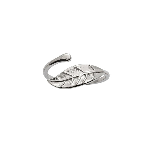 Silberring