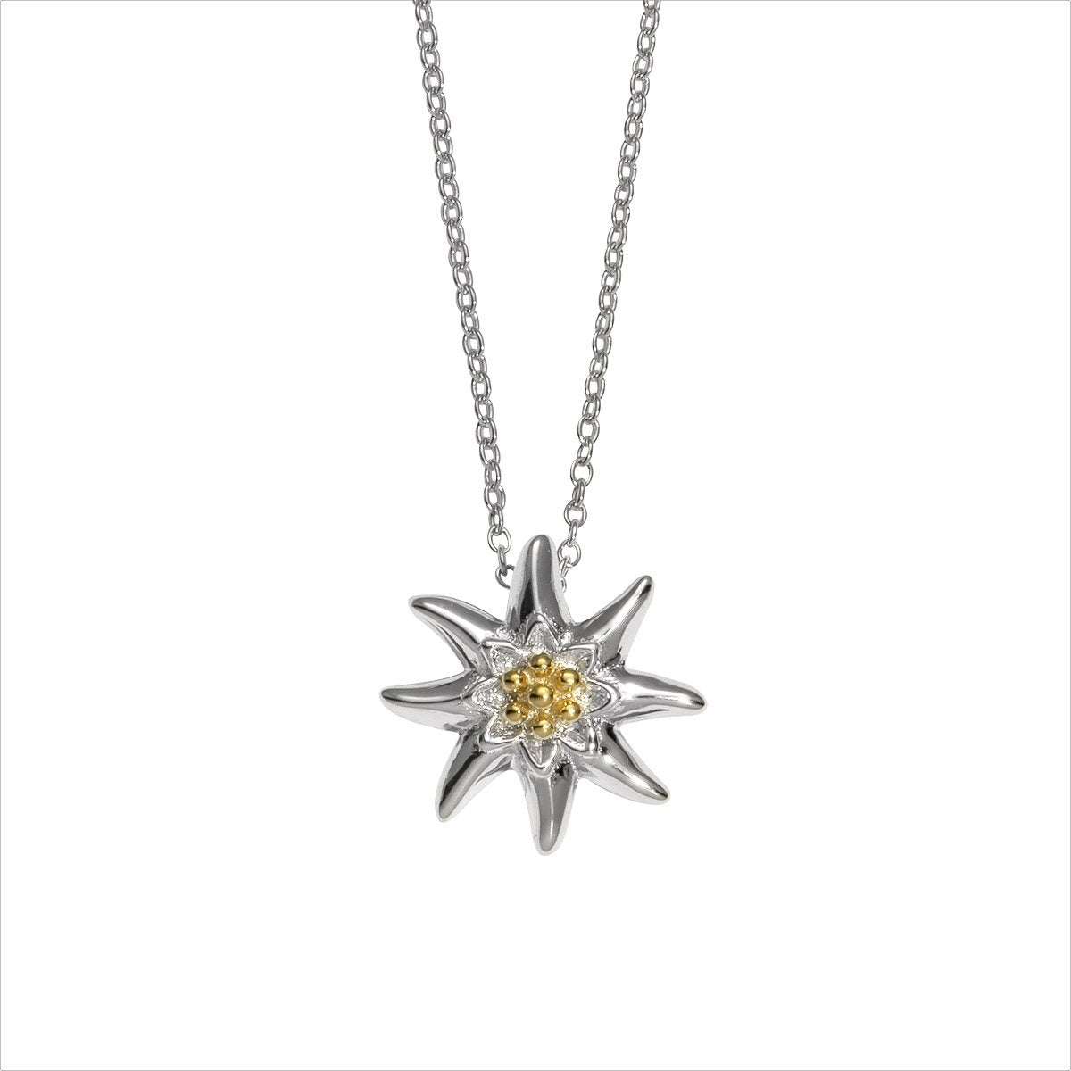 Silbercollier Edelweiß