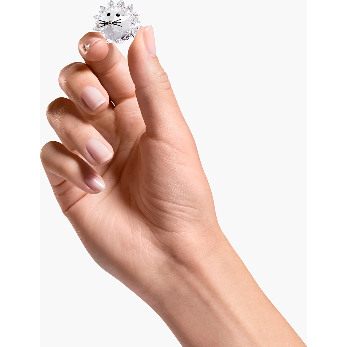 REPLICA:HEDGEHOG