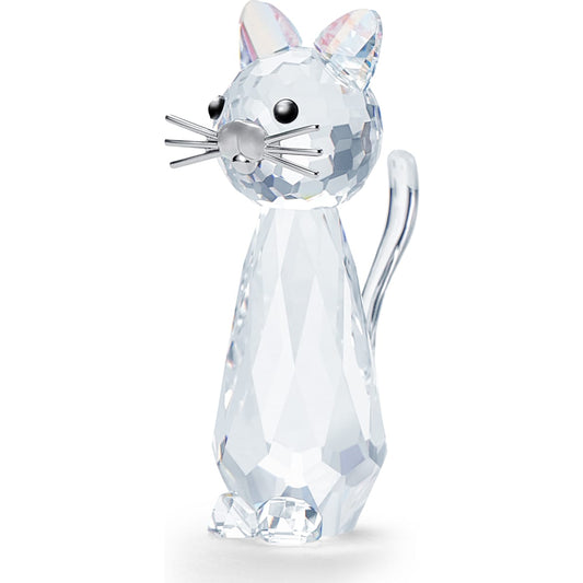 REPLICA:CAT