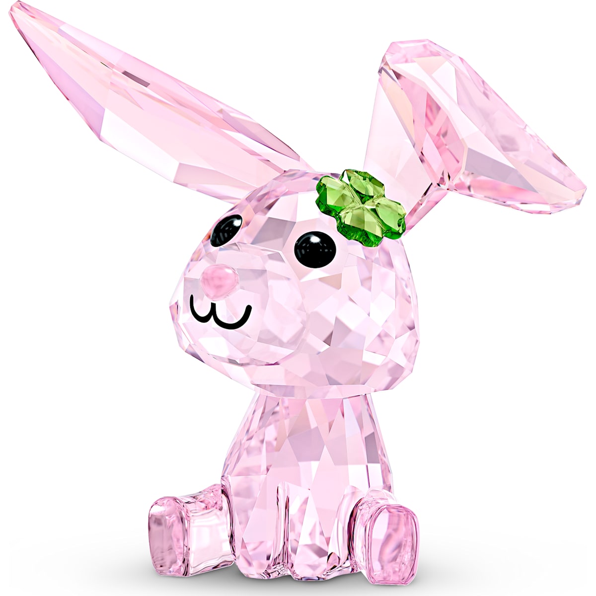 BABY ANIMALS:LUCKY THE RABBIT