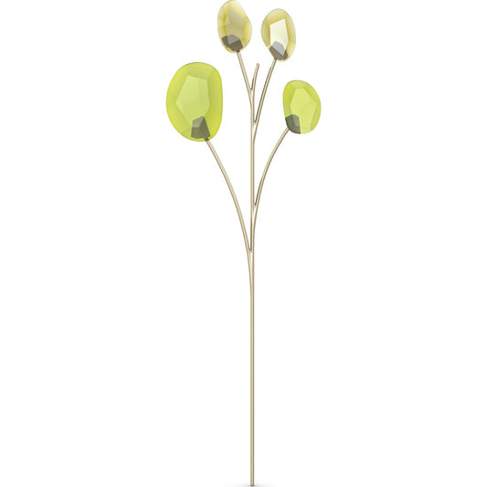 GARDEN TALES:EUCALYPTUS