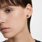 MILLENIA:PE BDIA/BRU - CRYSTAL UNTERBERGER