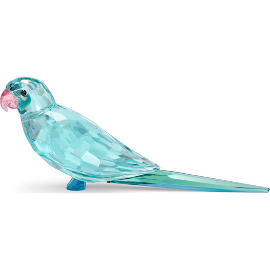 JUNGLE BEATS:BLUE PARAKEET