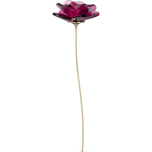 GARDEN TALES:ROSE