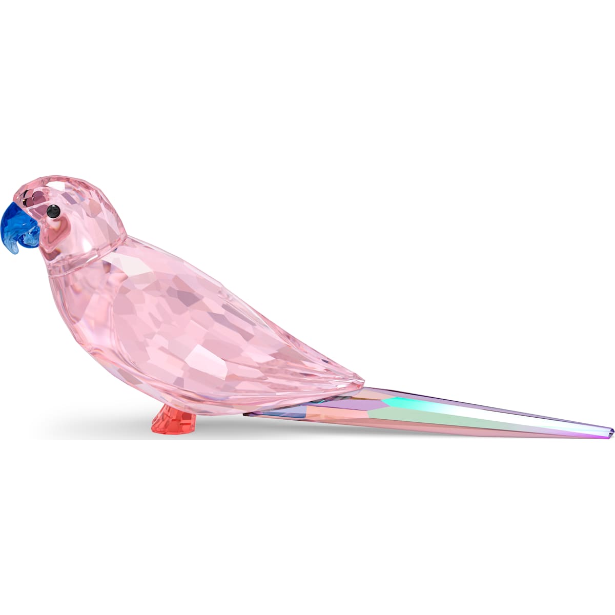 JUNGLE BEATS:PINK PARAKEET