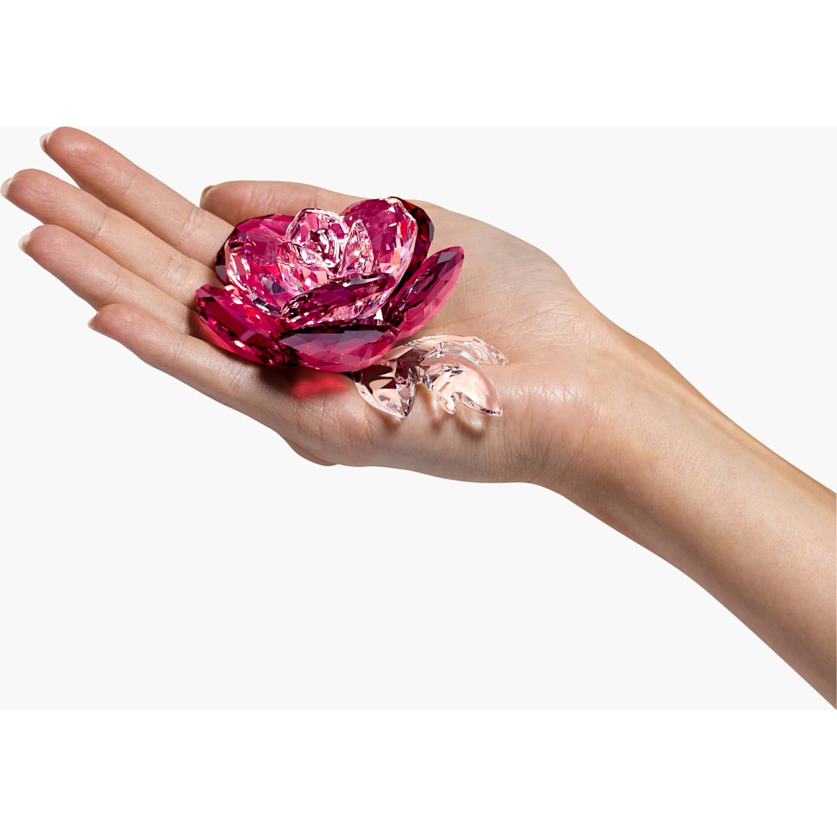 Swarovski - Pfingstrose - CRYSTAL UNTERBERGER