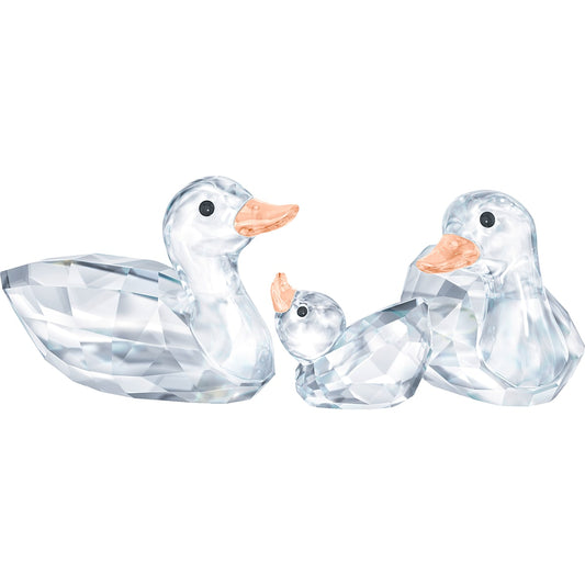 PEACEFUL COUNTRYS:DUCKS
