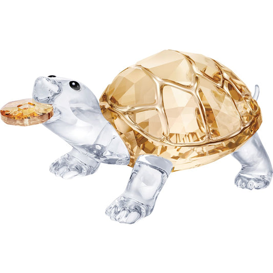 ASIAN SYMBOLS:TORTOISE
