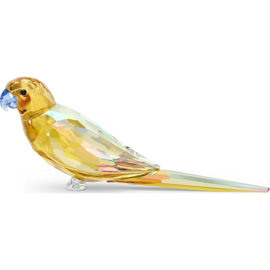 JUNGLE BEATS:YELLOW PARAKEET