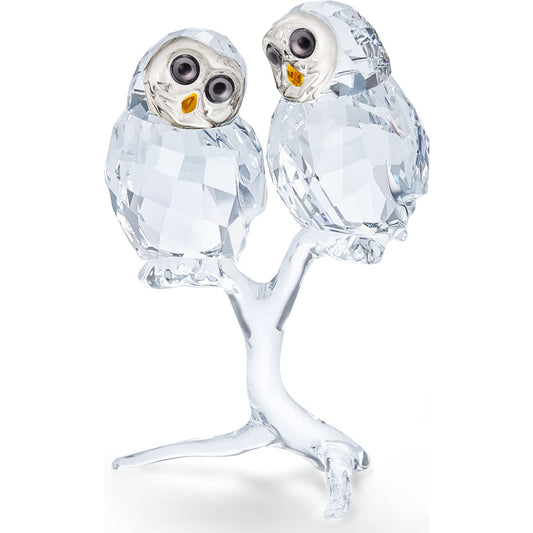 FEATHERED BEAUTIES:OWL COUPLE