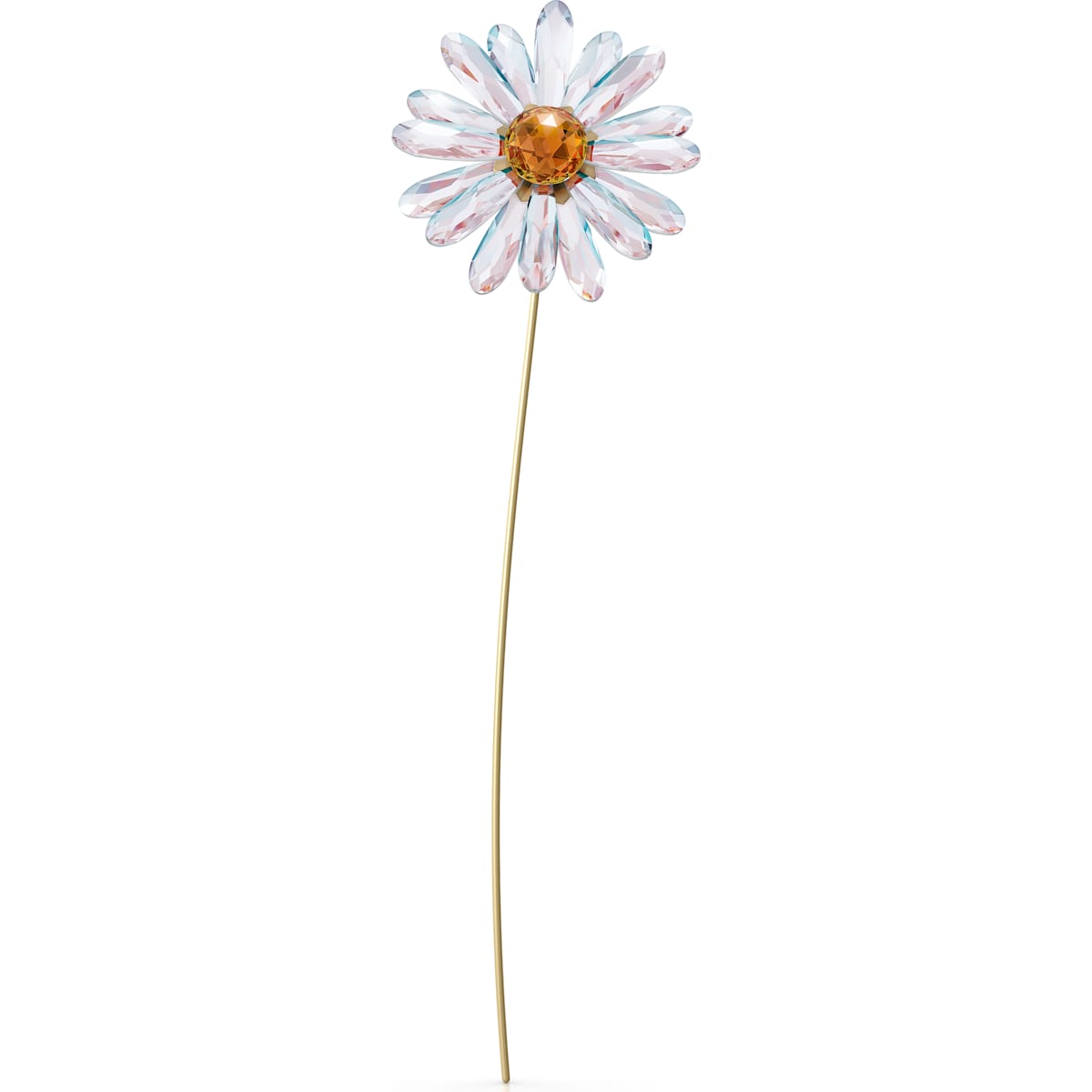 GARDEN TALES:DAISY