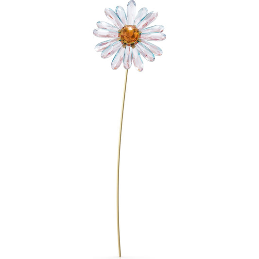 GARDEN TALES:DAISY