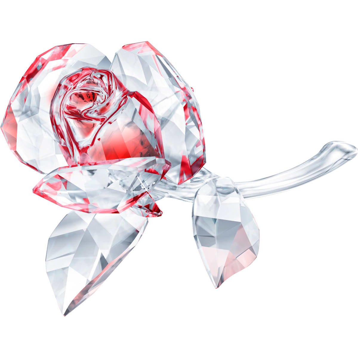 IN THE SECRET GARDEN:BLOSSOM ROSE RED