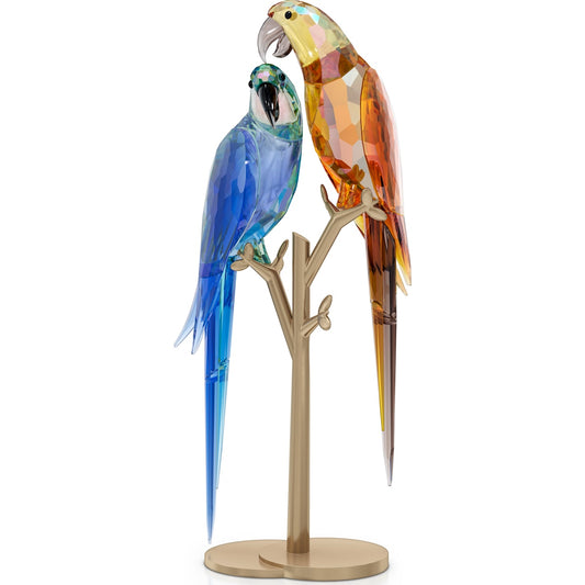 JUNGLE BEATS:PARROT COUPLE
