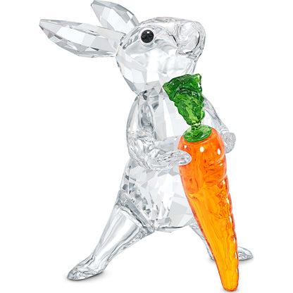 PEACEFUL COUNTRYS:RABBIT WITH CARROT