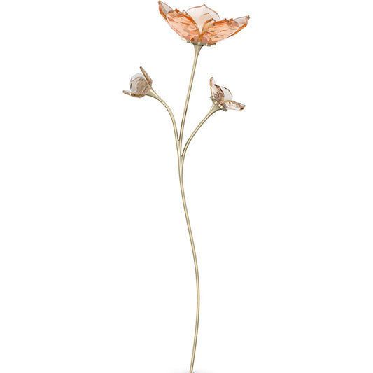 GARDEN TALES:MAGNOLIA