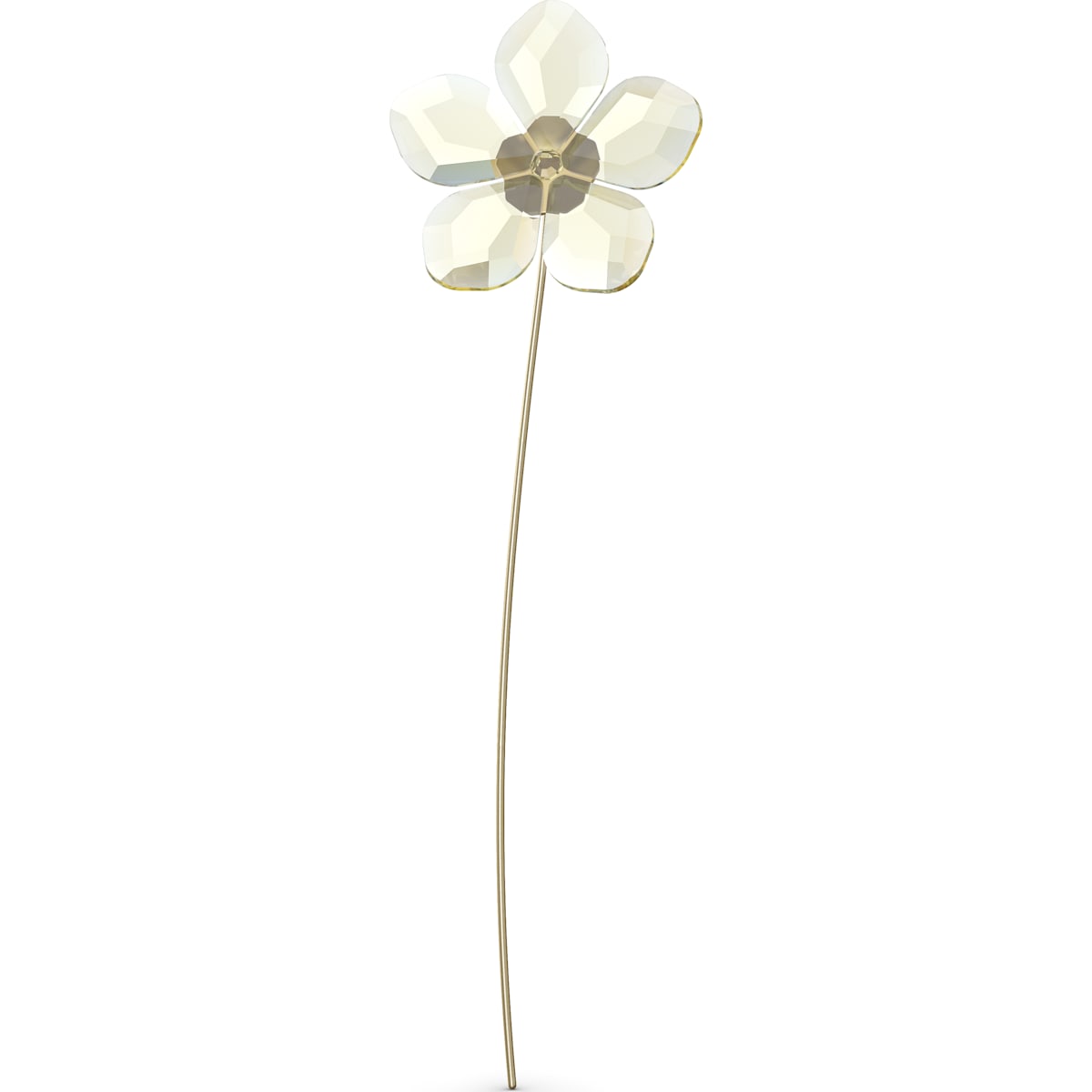 GARDEN TALES:HELLEBORE