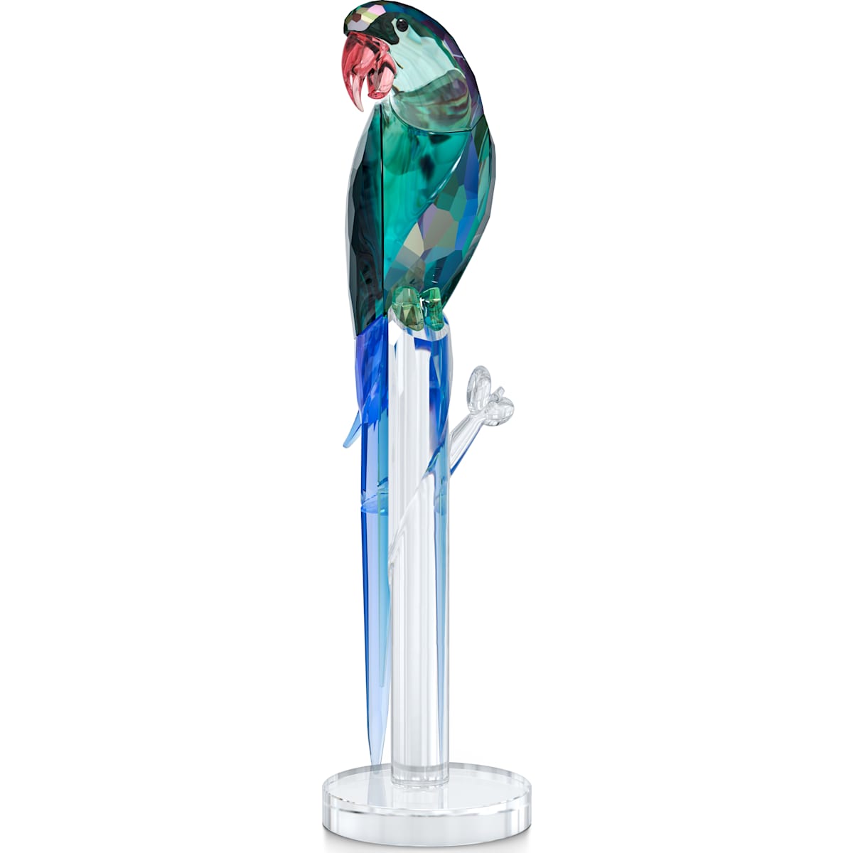 JUNGLE BEATS:GREEN MACAW