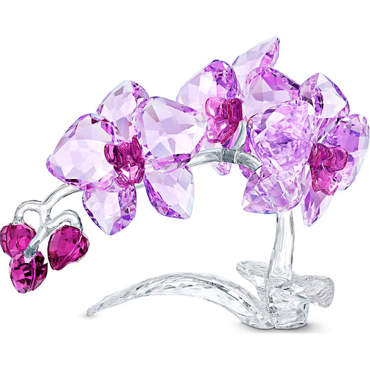 CRYSTAL FLOWERS:ORCHID