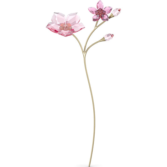 GARDEN TALES:CHERRY BLOSSOM