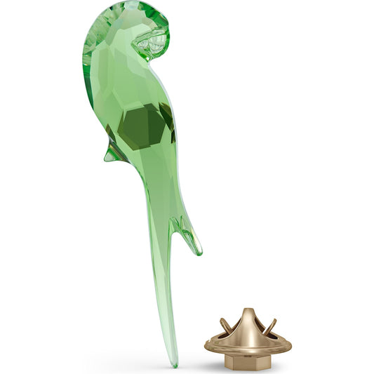 JUNGLE BEATS:MAGNET PARROT GREEN S