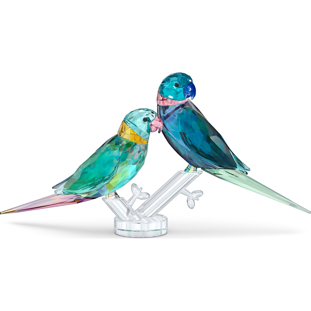 JUNGLE BEATS:PARAKEET COUPLE