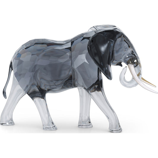 ELEGANCE OF AFRICA:ELEPHANT BULL