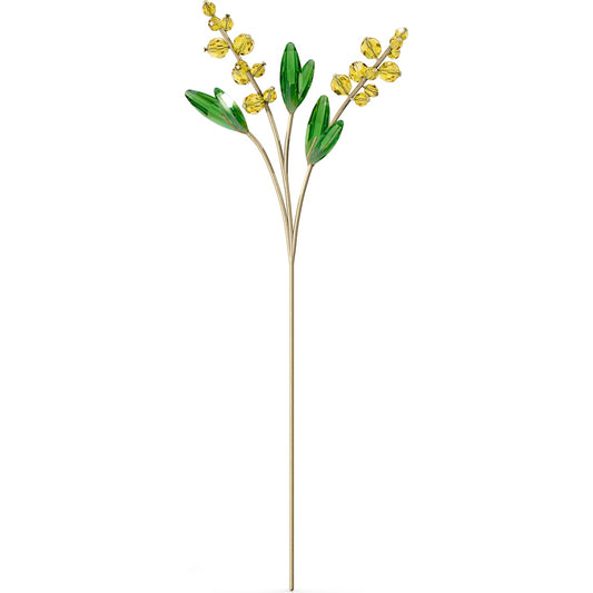 GARDEN TALES: MIMOSA